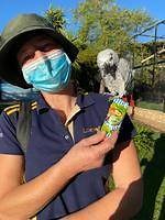 Lory Park Zoo on Jozikids