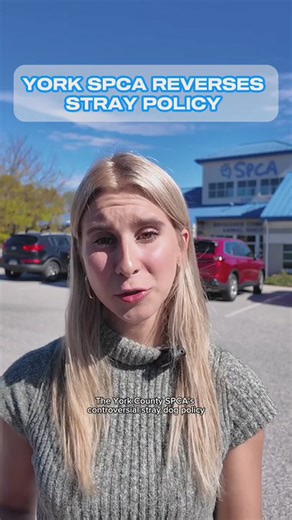 YORK SPCA REVERSES STRAY POLICY