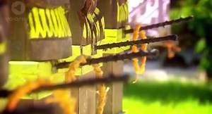 Australian Survivor S03 - Ep17  17 - Part 01 HD Watch