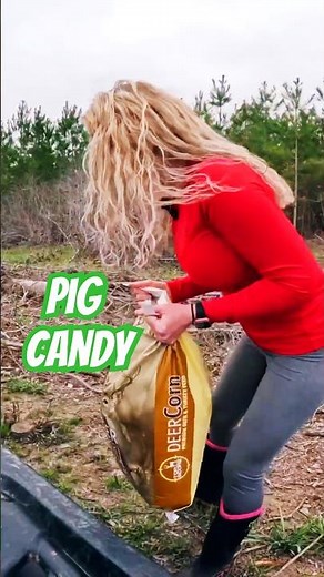 My Secret Hog Lure! 🐗