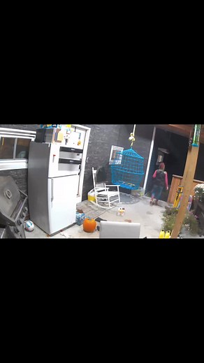 #powderbrows 😂 | Tannisha Gardner