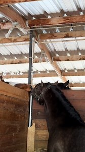 The hot gossip we needed. (s...christine via TikTok) | RFD-TV