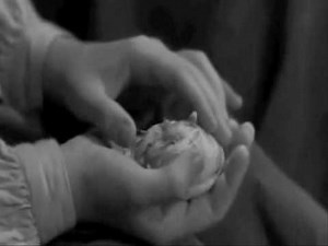 HELEN KELLER - EGG HATCHING SCENE, FROM THE MIRACLE WORKER