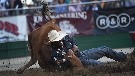 Reno Rodeo 2025: Tickets, parking, schedule, concerts and more