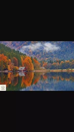 Wenn Berge im Wasser versinken, wird aus Weite Nähe. Farben, die leuchten – und doch in der Stille bleiben. Der Herbst erzählt nicht laut. Er spiegelt. 🍂 #landschaftsfotografie #herbststimmung #spiegelung #bergsee #fotografie_lebensraum