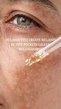 Where does our skin color come from?