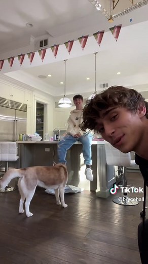 #stitch with @Brent Rivera sup @pierson