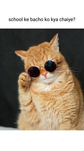 what school students really want ✅ #school #memes