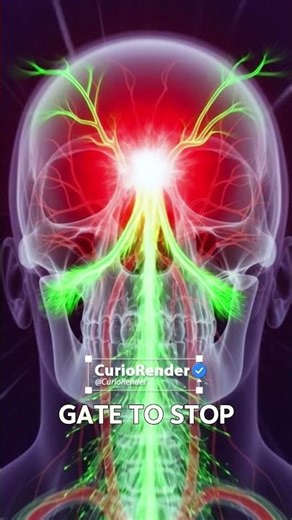 The Danger of the 'Triangle of Death'