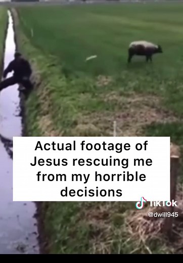Jesus Holding Lamb: A Heartwarming Rescue Story | Christian TikTok