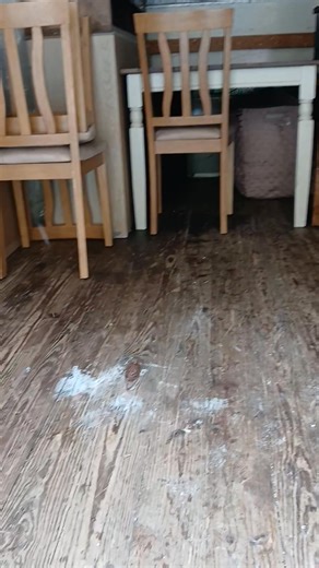 WALKER'S TRUCK RENTAL AND MOVING SERVICE BLUE THE MOVING MAN IF YOU NEED A TRUCK YOURE IN LUCK ! (773) 954 - 8710 RESERVE YOUR TRUCK TODAY CHICAGO'S FINEST MOVING COMPANY | Eric Walker