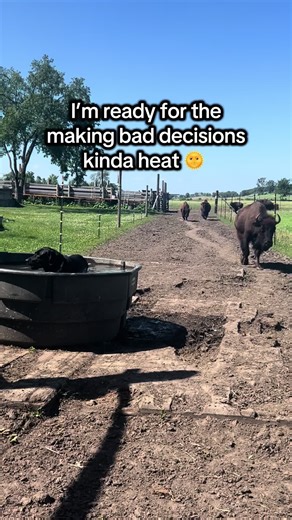 Embracing the Summer Heat with Farm Life