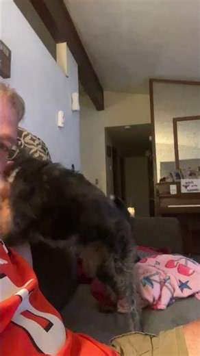 Turn Sound On 🔊 Snoopy's Vicious Attack