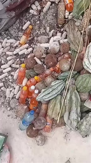 Discover the World of Sirens and Mermaids