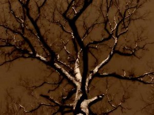 The Book of Eli - theme song - "Panoramic"