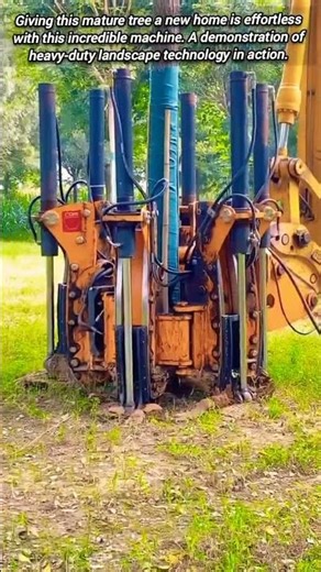 Giant tree spade: moving mature trees safely and efficiently.