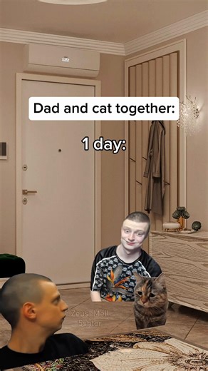 Funny Memes Compilation to Brighten Your Day