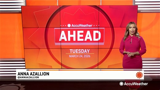 Animals rescued from floodwaters as recovery begins in Hawaii