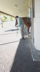 1.4K views · 84 reactions | Thanks to our incredible team! @dvm.colton @andrew.vanlangendonck @adalie_01 @albertorullanvmd | Equine Performance Innovative Center: EPIC | Facebook