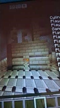 The new lobby on the minecraft sever