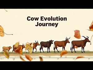 Cow ~🐄 125 million years evolution journey 🌎