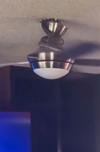 Snake crawls onto ceiling fan #ceilingfan #ceilingfanfails #shorts