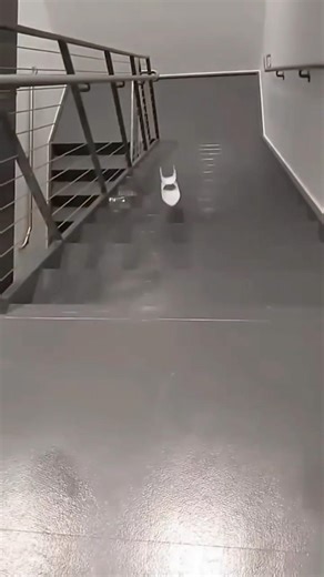 Ring Paper Plane Flying Trick | Paper Plane Shorts | Best Paper Airplane Design