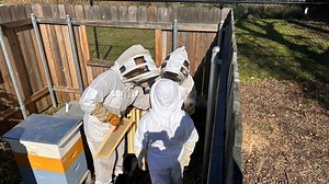 Austin provides grant to teachers for green projects