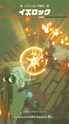【ゼルダの伝説】ヒガッカレ平原のイエロック ゼルダの伝説ティアーズ オブザキングダムNintendo Switch 2 Edition #zelda #shorts