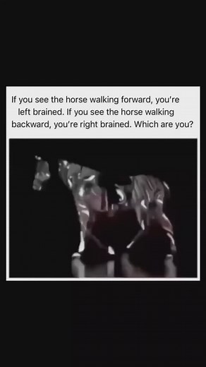 1K views · 3.2K reactions | #Repost @streetartglobe —— A fun...