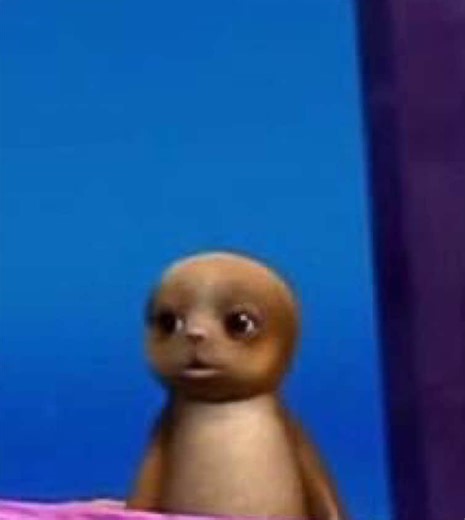 Concert Experiences: Expectation vs. Reality