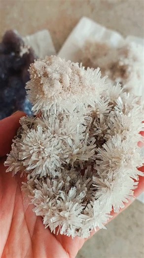 ‎گالری گوهرسنگ لوتوس‎ on Instagram‎: "نمونه ی کلاستر سلنیت سوزنی بسیار زیبا مینرال طبیعی و پر انرژی هر ایرانی، یک موزه گوهرسنگ💎 سنگها، دریچه ای شگرف رو به جهان هستی اند، هنر خدا و میراثی از میلیون ها سال پیش" 🦕🌏 Stones are the deep gate to the universe, art of the God and heritage from millions of years ago گالری گوهرسنگ لوتوس💎💎💎 اراءه و فروش انواع گوهرسنگ ها و مینرال ها, سنگ های کلکسیونی و دکوری زیبا، طبیعی و انرژتیک برگزاری تورهای طبیعت گردی و گردشگری و زمین گردشگری به همراه شناخت سنگها 