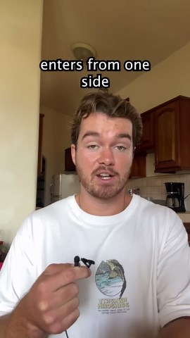 Black holes, white holes and wormholes explained by physics