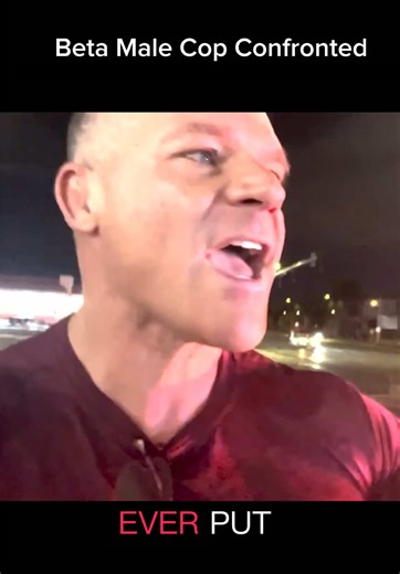 Understanding Police Audits and Accountability