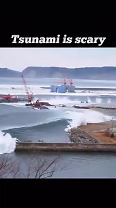 73K views · 586 reactions | #makeup #football #activity #comedy #alien #animal #bird #funny #fishing #drawing #animation #cat #dog #pets #food #yummy #horse #cartoon #gamer #car #pig #beauty #nfl #fun #art #animals #nature #love #fish #catsofinstagram | Natural Disaster | Facebook