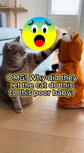 Tubby Cat Vs Toddler in Cat Costume #shorts #cat
