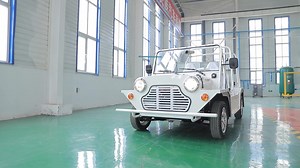 Custom 4 Persons Electric Moke Electric Mini Jeep Moke Car New Electric Moke With EEC Approval Made in China