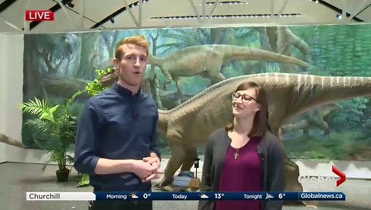 Vicky the Velociraptor comes to Winnipeg