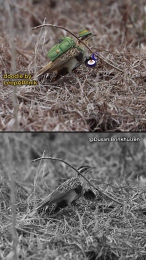 L͟e͞o͞p͟A͞R͟T͟n͟i͞k͞ on Instagram: "🗻 HIKER 🗻 (Sound On 🔈🔉🔊) Background video source: @dusan.brinkhuizen Animation: @LeopARTnik . I do this as a hobby in my free time after a long and stressful day at work, which by the way, has nothing to do with art or animations. It takes 5-7 days to make a 30-sec video. I pay for software, tools, and subscription for various memberships. All for the reason of creating better quality videos and provoking positive reactions, laughter, smiles, and joy. . T