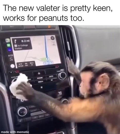 Car Sales Memes on Reels