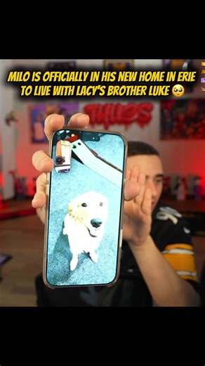 Milo is finally home ❤️ 🐶 #viral #fyp #trending #milo #lacy | milo lacy
