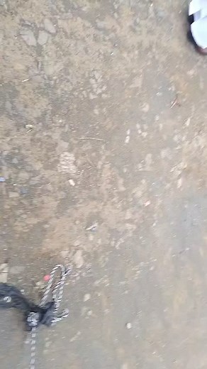 New Zion Temple Church (@new.zion.temple.c)’s videos with original sound - New Zion Temple Church