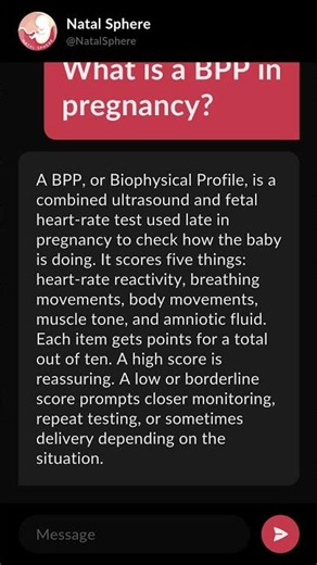 What is a BPP in pregnancy?