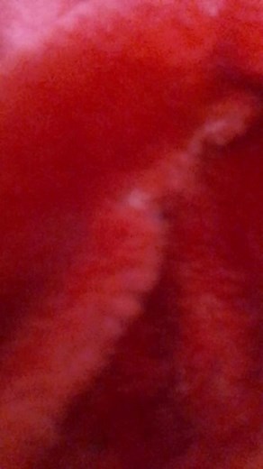 Exploring Abstract Red Textures in Video Art