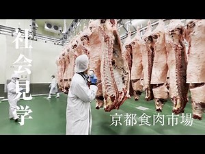 社会見学【京都食肉市場】