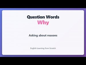 Why Question Word: English Grammar for Beginners