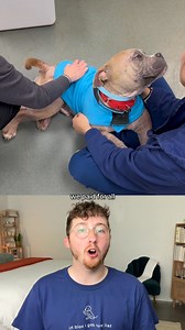 413K views · 10K reactions | Here are the Top 5 Dogs of February! | We Rate Dogs | Facebook