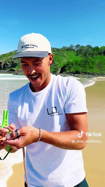 Are Giant Beach Worms Dangerous? Discover the Truth Here