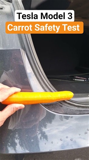 Tesla Model 3 Carrot Safety Test. #Tesla #safetytest #electriccar #teslamodel3