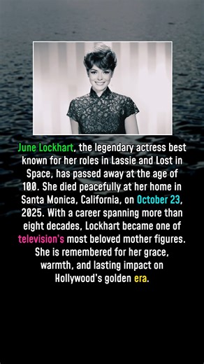 June Lockhart lassie and lost in space actress who was one of the last surviving stars from Hollywoods golden age dies at 100 | Daily Magra